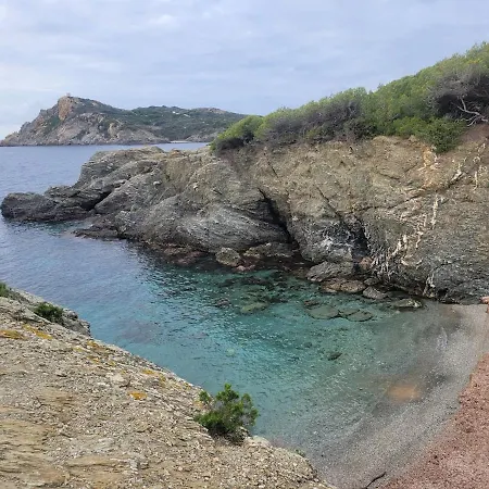 Presqu'ile Du Brusc - Gaou Appartement