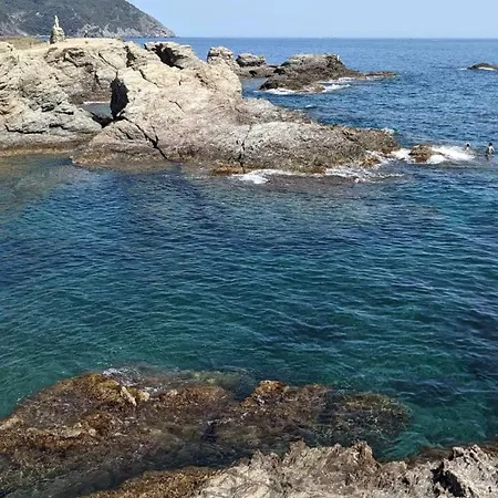 Appartement Presqu'ile Du Brusc - Gaou