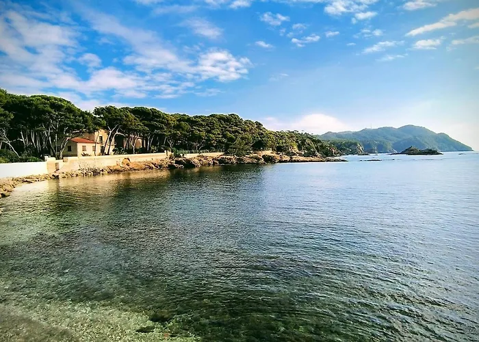 Presqu'ile Du Brusc - Gaou Daire Six-Fours-les-Plages