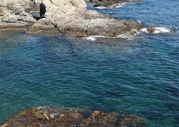 아파트 Presqu'ile Du Brusc - Gaou